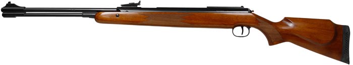Diana RWS 460 Magnum