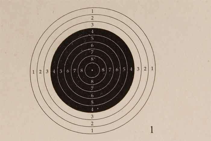 Milbro Pellet Catcher and 100 Targets Airguns Rifles Target Shooting Gun Sports 
