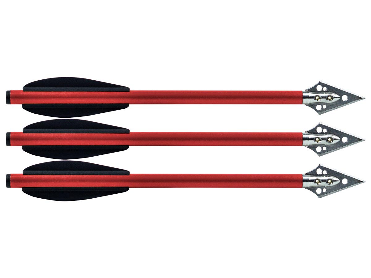 Details about   12 Archery Carbon Hunting Target Arrows 26/28/30inch for Recurve & Compound Bows 